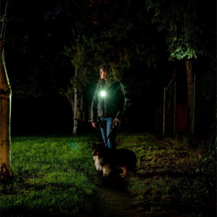 Oclip Pro oferă lumină ambientală uniformă
