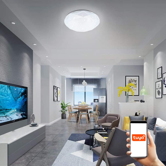 Plafonieră LED 24W aluminiu și policarbonat