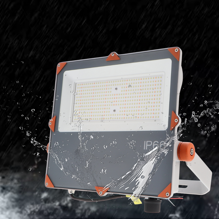 reflector LED 200w profesional, iluminat exterior industrial cu LED, proiector LED IP66 ledia.ro