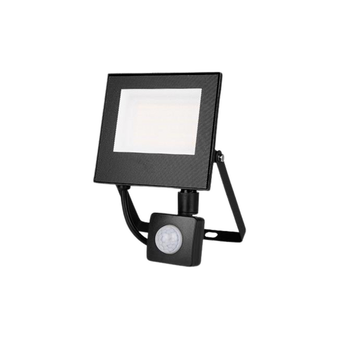 Proiector LED rezistent la apă 30W cu lumină albă neutră
