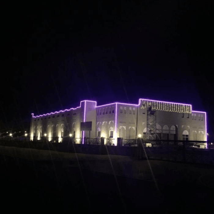 neon flexibil mov exterior ip65