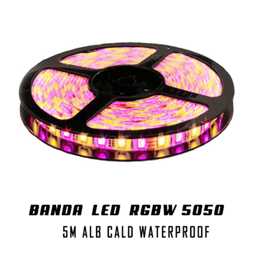 Banda RGBW 5050 SMD alb cald IP65 - ledia.roBanda LED-RGBW